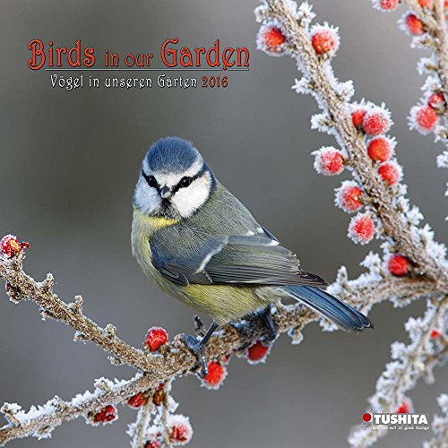 Birds in our Garden 2020 What a Wonderful World: Die Vögel in unseren Gärten by 