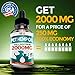 Organic Hemp Oil for Dogs and Cats - 2000MG - Premium Hemp Extract - Anxiety Relief for Dogs - Grown & Made in USA - Omega 3, 6 & 9 - Supports Hip & Joint Health - Natural Relief for Pain
