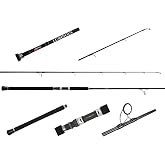 Jigging World Luminous Popping Spinning Rods
