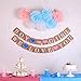 Festivous Wishel Gender Reveal Party Decoration Boy or Girl Banner,9pcs 12