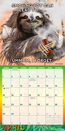 51cmjlTxILL - Stoner Sloths 2018 Wall Calendar (CA0119)