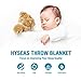 HYSEAS Flannel Fleece Throw Blanket Chocolate - Super Soft Plush Microfiber Solid Blanket for Couch, Bed, Chair, Sofa - Fuzzy Cozy Lightweight - 50x60 Inch