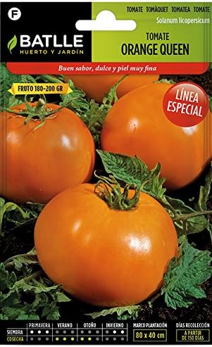 Semillas Hortícolas - Tomate Orange Queen - Batlle: Amazon.es: Jardín