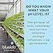 Bluelab Combo Meter Plus - Handheld Digital Hydroponic Nutrient and pH Meter for Measuring pH Levels, Conductivity & Temperature in Soil & Plants - Accurate pH Measurements - Bonus Carry Case Included