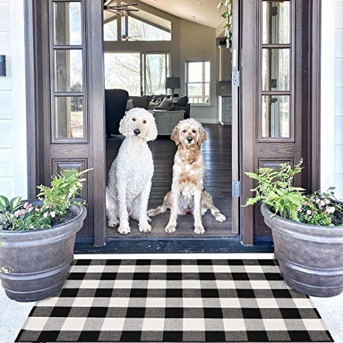 Ailsan Buffalo Plaid Outdoor Rug Doormat 35'' x 59'' Farmhouse Cotton