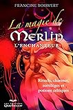 La magie de Merlin l'enchanteur by 