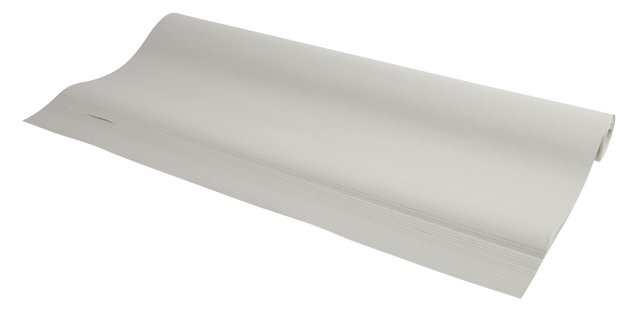 Exacompta - Ref. 41654E - FOREVER paper refill for flip charts - 80 g/m2 recycled paper - 20 plain micro perforated sheets - size 65 x 100 cm - Blue Angel certified -