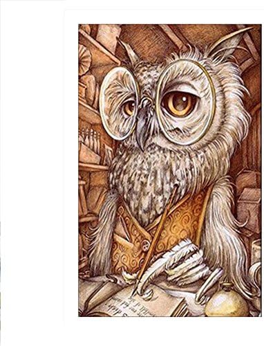 DIY 5D Full Drill Diamond Sticker Cross Stitch Painting Kits Arts Crafts Home Decor Owl Doctor 20 x 30cm ( 7.8" x 11.8" )