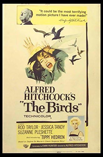 The Birds 1963 Original Universal Pictures 40x60 Movie Poster The Birds 1963 Original Universal Pictures 40x60 Movie Poster