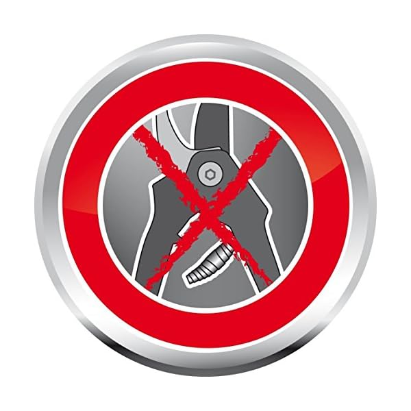 Wolf-Garten Anvil Pruner Garden Shear (Chromium Steel, Red) - Image 4