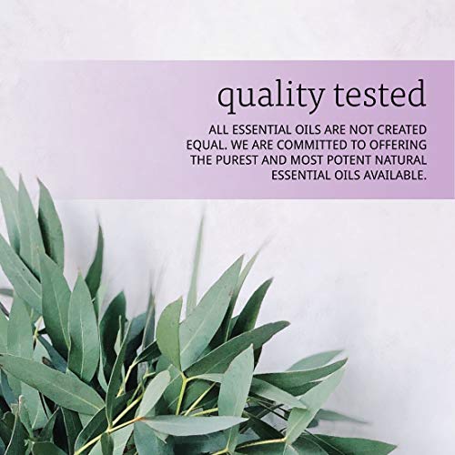 NOW Eucalyptus Essential Oil - Image 6