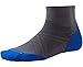FBA Smartwool PhD Run Light Elite Mini Graphite/Bright Blue Xl