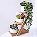 2 Pcs Artificial Hanging String of Pearls Plant Fake Succulent Hanging Artificial Succulent Plants, String of Pearls, 13.4 inch Hanging Basketplant, Lover Tears Plants