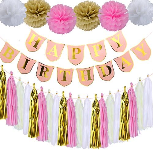 TeePolly Pink Happy Birthday Banner,Tissue Paper Pom Poms Flowers,Tissue Tassel Garland for Birthday Party Decorations