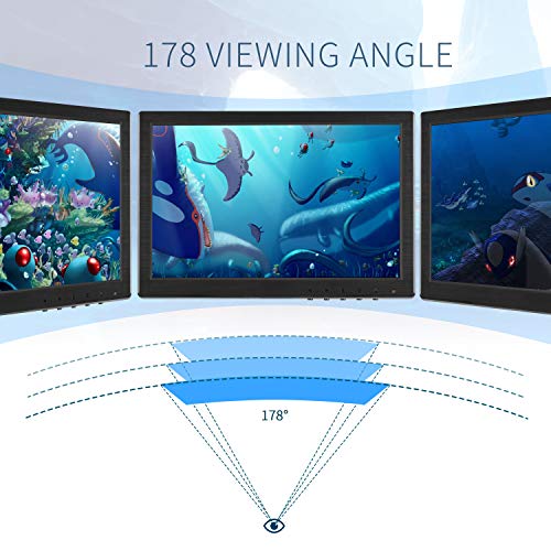 TOGUARD 10.1 Inch Small HDMI Monitor 1920x1200 IPS Portable Color Display Screen with AV/VGA/HDMI/BNC/USB Earphone Output for PC Security CCTV Camera Gaming at 178 Wide Viewing Angle