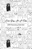 One Day at a Time 2019 Recovery Calendar: Crazy Cat Sobriety Oriented Pocket Planner is Perfect to F by Serenity Press