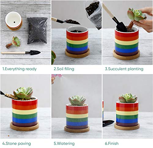 3 Greenaholics+Succulent+Pots+Cylinder+Planting