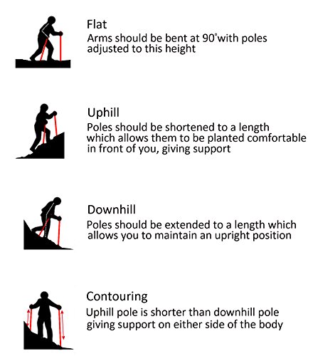 walking pole length for height