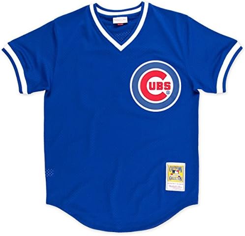 Mitchell & Ness Ryne Sandberg Chicago Cubs 1984 Authentic Jersey Medium