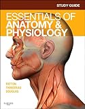 Study Guide for Essentials of Anatomy & Physiology, 1e