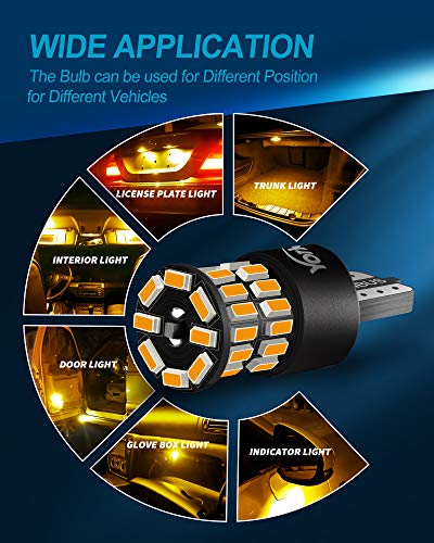 5 Yorkim+Interior+Courtesy+License+Replacement