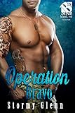 Operation Bravo [Geek Squad 4] (The Stormy Glenn ManLove Collection) by 