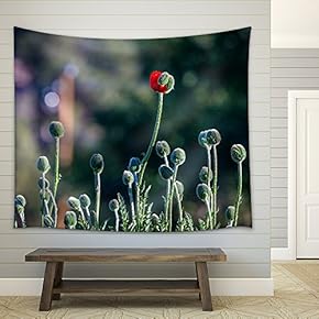 Closeup of Flower Bud - Fabric Wall Tapestry Home Decor - 51x60 inches