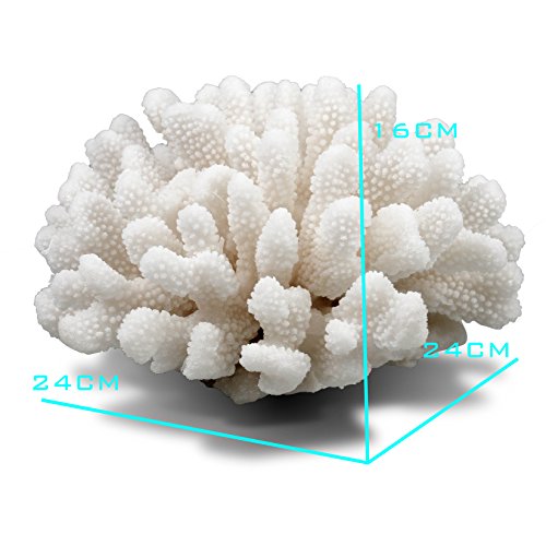 image for COMLZD Cauliflower Coral Statue Decorative Accent Resin Sculpture Disp