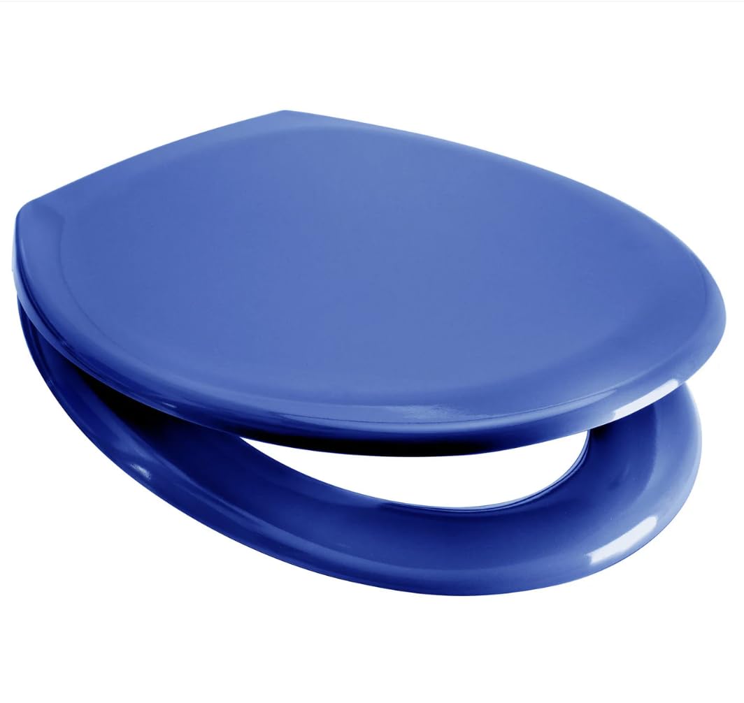 Euroshowers Rainbow Soft Close Toilet Seat (blue)