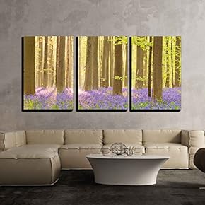 3 Piece Canvas Wall Art - a Beautiful Blooming Bluebell Forest in Early Morning Sunlight - Modern Home Art Stretched and Framed Ready to Hang - 16"x24"x3 Panels
