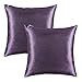 Lumbar Throw Pillow Covers Eggplant - PONY DANCE Light Weight Special Dryed Stipes Shining Pillowcase Rectangular Cushion Covers Decorative, Purple, 12 by 20 in, 2 Pieces