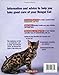 Bengal Cats (Complete Pet Owner's Manual)