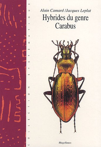 Les  hybrides du genre Carabus