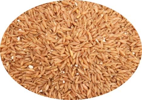 EasyBee Bamboo Rice 1kg Ancient Grain