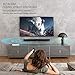 Darmoshark 36 Inch TV Sound Bar, 50W Wired and Wireless Bluetooth 4.2 Soundbar with 6 Speakers Strong Bass 2.0 Channel Home Theater Surround Audio Stereo Sound Bars for TV Speakersthumb 4
