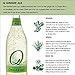 Q Spectacular Ginger Ale, Premium Sparkling, Real Ingredients & Less Sweet, 500 ml (Pack of 6)