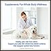 Standard Process - Canine Whole Body Support - Daily Supplement for Dogs - 100 Grams