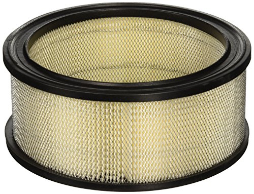 Stens 100-758 Air Filter