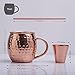 Moscow Mule Copper Mugs - Gift Set of 2 Pure Copper Cups With BONUS Shot Glass and Straws