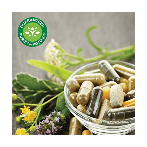 Swanson Turmeric Curcumin Antioxidant Joint Health Cardiovascular Liver