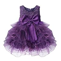 TiaoBug Baby Girls Flower Ruffled Princess Bowknot Wedding Pageant Christening Baptism Communion Party Dress Purple 6-9 Months