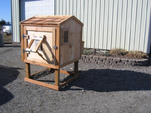 Small Chicken Coop Construction