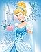 Disney Silk Touch Sherpa Twin Blanket and Marvel Designs 60"x80" (Cinderella)