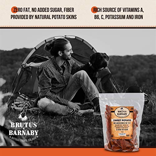 Brutus & Barnaby Sweet Potato Dog Treats- 2 lb Dehydrated North American All Natural Thick Cut Sweet Potato Slices, Grain Free, No Preservatives Added, Best High Anti-Oxidant Healthy Dog Chew - Thumbnail 5