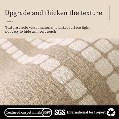 Jorunb Area Rug Washable Soft Rugs for Living Room Bedroom Modern Deco Polyester Fiber Carpet Rugs for Bedroom with Non Slip Backing Home Decor Floor Decoration Mat(Light beige,200x300cm)