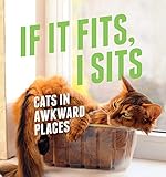 If It Fits, I Sits: Cats in Awkward Places by Various