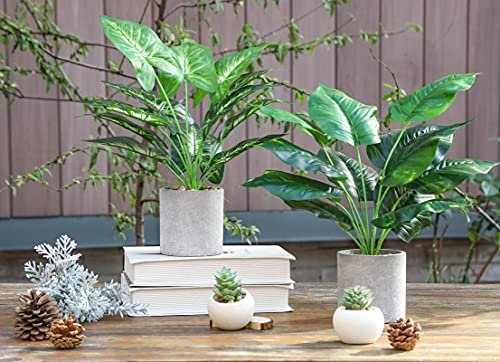 JC nateva 2pcs 16" Fake Plants Artificial Plants for Farmhouse Bathroom Kitchen Office Home Decor Indoor - Image 3