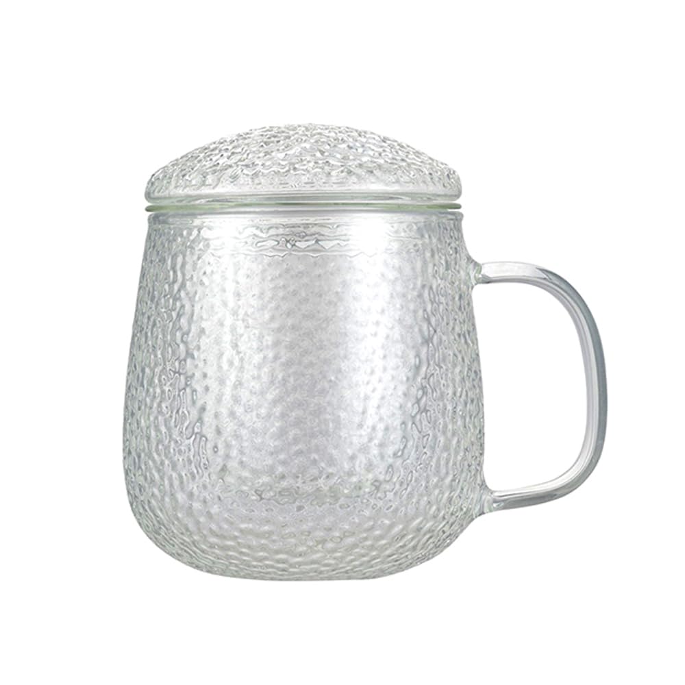 soulnioi 420ML Glass Tea Cup with Infuser and Lid, Clear Teacup for Loose Leaf Tea, Tea Bag (Glass Lid)
