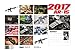 2017 AR-15 Wall Calendar
