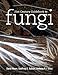 21st Century Guidebook to Fungi with CD-ROM